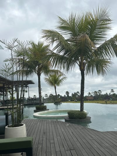The image captures a serene scene likely in Payangan, Indonesia, featuring tropical vegetation alongside architectural elements. Two dominant palm trees frame the left side of the image against an overcast sky. The right side includes a wooden deck adjacent to a body of water with an integrated rounded structure containing greenery. In the foreground, there are bamboo plants in a white pot. Further in the background, across the water, there are other tropical trees. Other architectural details, such as a partial wooden platform, are also evident.