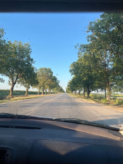 The image depicts a view from inside a vehicle traveling on a paved road lined with trees on both sides. The road stretches into the distance and appears to be in a rural area. The sky is clear and blue, indicating daytime. The foreground shows the dashboard and windshield of the car, with some reflections and dirt on the windshield. The trees are green and leafy, suggesting it is spring or summer. The road has white lines marking the lanes. The overall scene suggests a serene drive through a tree-lined countryside. There are no people visible in the image.