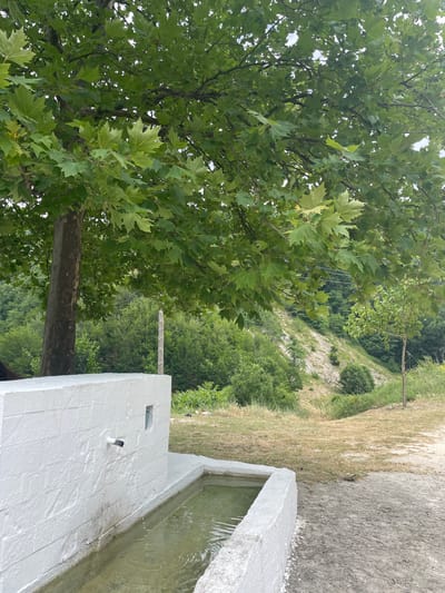 The image shows an outdoor scene with a man-made water fountain in the foreground, located in the village of Echinos, Greece. The fountain is constructed from white-painted brick, with a trough filled with murky water. A spigot is visible on the side of the fountain, from which water is flowing. A large tree with green leaves dominates the left side of the image, casting shadows over the fountain. In the background, a lush green hillside rises, covered in trees and vegetation. The sky is overcast. The overall impression is of a simple, rustic setting in a natural environment.