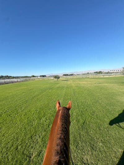 The image shows a view from atop a horse, focused on the horse's head and ears which are a reddish brown color and braided. A large expanse of green grass stretches out in front, fading into the distance. On the left, a clear blue sky meets the horizon. In the distance, a white fence line is visible, along with some trees and buildings. The horse rider's shadow is cast on the grass.