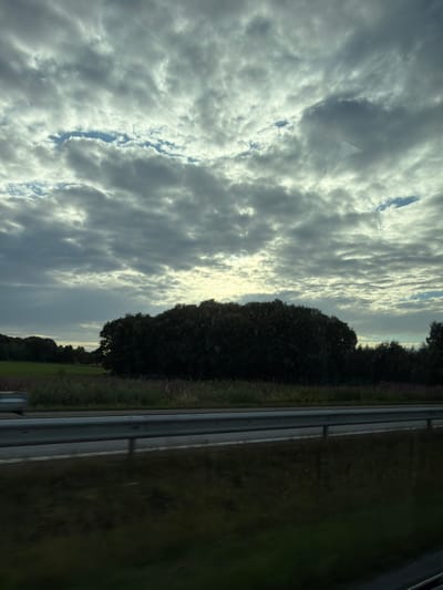 This is a photograph taken from a moving vehicle, likely a car, traveling on a highway. The scene depicts a cloudy sky with patches of blue visible. In the mid-ground, there is a dense line of trees and vegetation bordering a field. A highway guardrail runs horizontally across the lower portion of the image, separating the road from the field. The lighting suggests it is either early morning or late afternoon. The location is identified as Himle, Sweden. There are no people or discernible actions visible in the photograph.