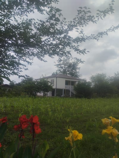 The image depicts a rural scene in Bandza, Georgia, with a two-story house as the central focus. The house, painted white with a brown roof, features a balcony with white railings and stairs leading up to it. It is surrounded by lush green trees and vegetation. In the foreground, a field of tall green plants, possibly corn, stretches across the image. Bright red and yellow flowers are visible in the lower portion of the frame, adding a splash of color to the scene. The sky above is overcast with gray clouds. The overall atmosphere is serene and natural, suggesting a quiet countryside setting.