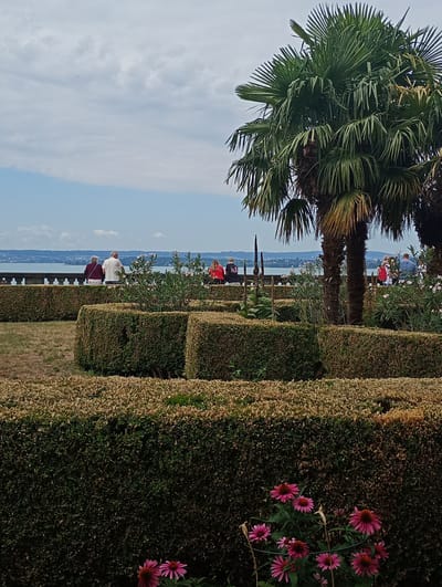The image depicts a view of a formal garden with manicured hedges and palm trees, overlooking a body of water, likely Lake Constance, with a distant shoreline and buildings visible. In the foreground, several rows of neatly trimmed hedges create a maze-like structure. Two palm trees stand prominently on the right side of the frame, their fronds extending towards the sky. In the mid-ground, several people are seated or standing along a low wall overlooking the water. The sky is partly cloudy. This scene is likely located in Meersburg, Germany, a town known for its picturesque setting on Lake Constance and its well-maintained gardens.