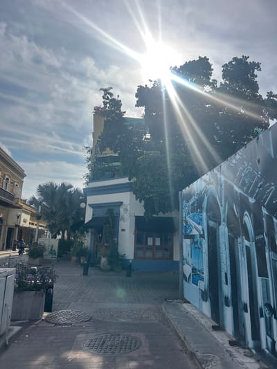 This brightly lit, landscape-oriented image captures a vibrant street scene in Mazatlán, Mexico, under a clear, sunny sky with wispy clouds. The sun, partially obscured by lush green trees on the left, casts intense rays and a prominent sunburst effect across the upper left quadrant of the frame, indicating midday.
The setting is an urban street lined with buildings and vegetation. On the right, a multi-story building features a striking, large-scale mural or artwork covering its upper facade. This mural is rendered in cool blue and gray tones, depicting architectural or industrial elements, and includes the vertically oriented text "UNION" in white letters. Below the mural, the building appears to house a business with visible windows and a doorway. Further down the street, other buildings, possibly shops or residences, are visible, including one with a light-colored facade and balconies.
Prominent natural elements include several dense trees on the left, through which the sun shines, and a large palm tree situated closer to the street level. Purple flowering plants are visible in planters along the paved sidewalk. The ground is surfaced with bricks or cobblestones, and two circular manhole covers are present on the pedestrian path. A scooter or motorbike is faintly visible parked near the curb on the right.
The image portrays a typical daytime street environment, lively with architecture and greenery, characteristic of a pedestrian or commercial area. No specific event or activity is prominently featured, but the scene suggests daily life in a sunny, possibly coastal, city. The strong sunlight and clear skies define the weather conditions.