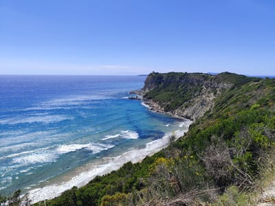 This panoramic image presents a breathtaking view of a rugged coastal landscape in Agios Stefanos, Greece, under a brilliant, cloudless blue sky. The vast expanse of the Ionian Sea stretches across the left, displaying a striking gradient of blues, from deep indigo further out to lighter turquoise and clear azure in the shallower waters closer to the shore. Numerous gentle waves are seen breaking onto a narrow, sandy beach, creating white foamy lines.
The right side of the frame is dominated by steep, imposing cliffs, densely cloaked in vibrant green Mediterranean vegetation, including various bushes, shrubs, and trees. Patches of exposed, lighter-colored rock are visible along the cliff faces, adding to their rugged appearance. In the foreground, more lush green and yellowish-green flora, possibly blooming with small yellow flowers, frames the lower right corner. A very small, dark, indistinct figure can be faintly observed walking on the sandy beach in the mid-ground, providing a sense of scale.
Perched atop a distant bluff on the cliffs, a small, light-colored structure or building can be discerned. In the far background, faint outlines of distant landmasses are visible on the horizon. The scene is bathed in bright, clear sunlight, indicating a beautiful, warm day, likely midday. The overall impression is one of serene natural beauty and a pristine coastal environment. No visible text appears in the image.