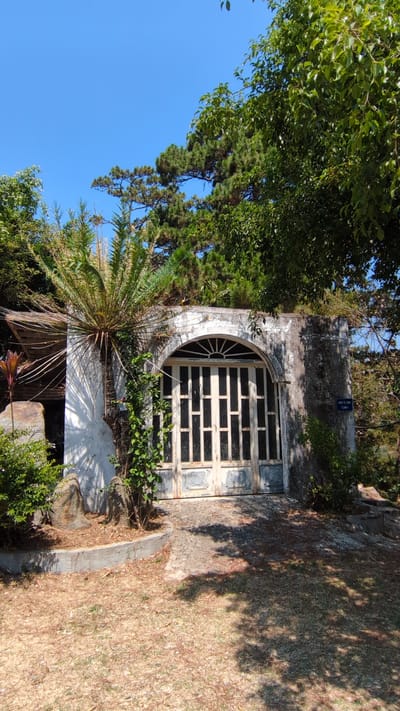 The image captures a weathered, arched entryway or window of a stone structure, surrounded by dense foliage. The setting is Lâm Sơn, Vietnam. The entryway is enclosed with a window of multiple rectangular panes, possibly made of wood, and the structure itself appears aged, with signs of discoloration and weathering on the stone. The scene is partially obscured by trees and various plants, including a palm-like plant with radial leaves. The ground is covered in dry grass and some greenery, dappled with shadows. The sky is visible through the foliage as a clear blue. There are no people visible in the image.