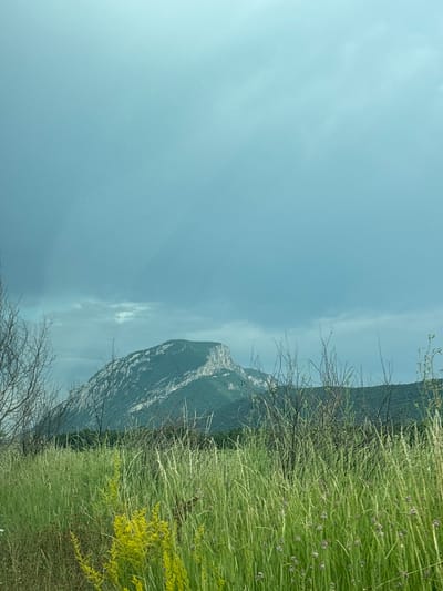 This media file depicts a natural landscape in Botunia, Bulgaria. The scene features a large, rocky mountain with a sheer cliff face dominating the right side of the frame. The mountain is partially covered in sparse vegetation, and appears to be composed of light-colored stone. In the foreground, to the right, is a dense field of tall, green grass interspersed with small, purple wildflowers and patches of bright yellow flowers. Bare, thorny branches of dead or dormant bushes are visible in the foreground and partially obscuring the mountain. The sky above is a clear, pale blue with faint wisps of white clouds, suggesting daytime. The lighting indicates it is likely midday or late afternoon. There is no activity or event taking place; it is a static landscape view. The overall impression is one of a wild, possibly remote, natural environment.