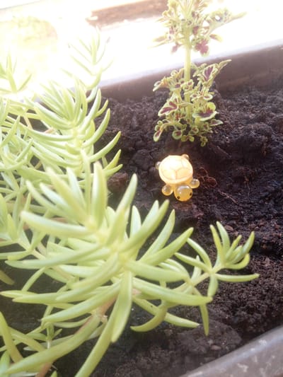 A small, translucent yellow turtle figurine rests on dark soil next to a potted plant. The turtle has a patterned shell and four stubby legs. In the background, there is another plant with dark red and green leaves. The scene appears to be in a garden or on a windowsill. There are no people or actions depicted in the image.