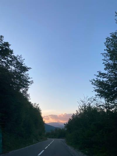 The image depicts a winding asphalt road curving through a lush, green landscape during what appears to be twilight or early dawn. On either side of the road, dense foliage and trees create a natural frame, with the vegetation on the left appearing more dominant and the trees on the right more sparse. In the distance, mountains are visible against a sky that transitions from a clear, pale blue at the top to softer hues of pink and orange closer to the horizon, suggesting the presence of clouds catching the early or late sunlight. The road itself is marked with a white dashed line. The scene is devoid of any human presence or activity, focusing solely on the natural environment and the road that leads through it. The location is identified as being in the city of Šavnik, Montenegro.