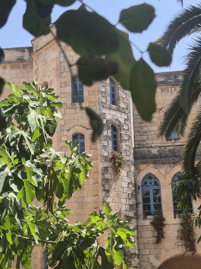 The image shows a close-up view of a building in Abu Gosh, Israel, partially obscured by foreground foliage. The building is constructed of light-colored stone blocks. It features several windows, some with blue frames. Red flowering vines are visible growing on the exterior of the building near some of the windows. A palm frond from a tree is visible on the right side of the image, and the large green leaves of a fig tree dominate the left and central parts of the foreground. The sky is visible in the upper portion of the image and appears clear and blue.