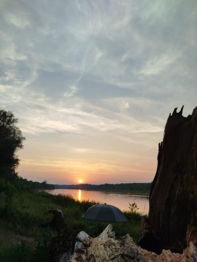 The image captures a sunset over a wide river in Topolina, Poland. The sky is filled with wispy, pale clouds, with the sun visible as a bright orange orb near the horizon, casting a shimmering reflection on the water. The foreground features the grassy bank of the river, interspersed with fallen logs and branches, including a large, weathered tree trunk on the right side. A dark umbrella is set up on the left side of the riverbank, suggesting a temporary campsite or resting spot. Lush green vegetation lines the river, with a treeline visible on the opposite bank. The overall atmosphere is serene and natural, with no people visible in the scene.