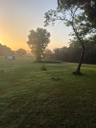This is a vertical, eye-level, full shot of a misty, rural landscape at sunrise. The sky is a gradient of soft yellow and pale blue, with the sun just cresting over the horizon, casting a warm glow. The foreground is a lush, green lawn dotted with dew. In the mid-ground, a white shed sits to the left, and several trees are scattered across the undulating terrain. A large, leafy tree dominates the right side of the frame, its trunk leaning slightly. The background is filled with a dense line of trees and rolling hills shrouded in fog. The scene suggests a peaceful morning in a countryside location.