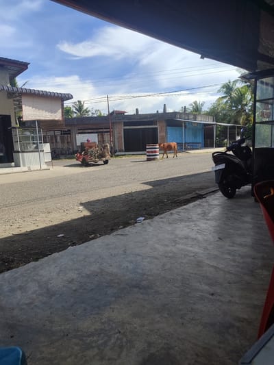 The image depicts a street scene in Cotglumpang, Indonesia. A brown cow is walking on the asphalt road, with a small red cart containing farming equipment to its left. A black motorcycle is parked on the right side of the road. Buildings with tiled roofs and wooden doors line the street. In the foreground, a concrete floor is visible. The sky is blue with scattered clouds.