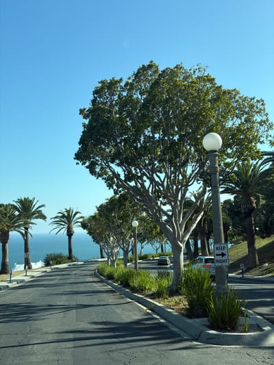 The image displays a scenic view of a coastal road lined with palm trees and lush greenery, under a clear blue sky. A street lamp with a spherical white light fixture stands prominently in the foreground, beside a large, leafy tree with complex branching. Further down the road, palm trees are visible, some with their fronds casting long shadows on the asphalt. The road itself appears to be a paved surface with a concrete curb. To the left of the road, a body of water, likely the ocean, can be seen. A white vehicle is visible in the distance on the road, and another is parked on the side. A traffic sign on a pole reads "KEEP RIGHT" with an arrow pointing upwards. The scene suggests a bright, sunny day, possibly in the afternoon, given the angle of the shadows. The location appears to be a public area, possibly a park or a scenic route, given the landscaping and the presence of streetlights. The overall mood of the image is tranquil and idyllic, evoking a sense of a pleasant outdoor environment.