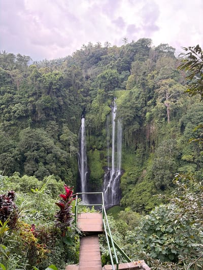 This is a vertical, eye-level, full shot of the Sekumpul Waterfalls, a natural attraction located in the Sawan village, Buleleng Regency, Bali, Indonesia. The image captures two tall, narrow waterfalls cascading down a steep, jungle-covered cliff face. Lush green vegetation, including trees, vines, and ferns, completely covers the rocky slopes surrounding the waterfalls. In the foreground, a wooden walkway with green metal railings leads down towards the viewpoint, with a cluster of tropical plants, including some with deep red leaves, flanking the path. The sky above is overcast with soft, diffused light, casting a gentle glow over the scene. No people are visible in the image.