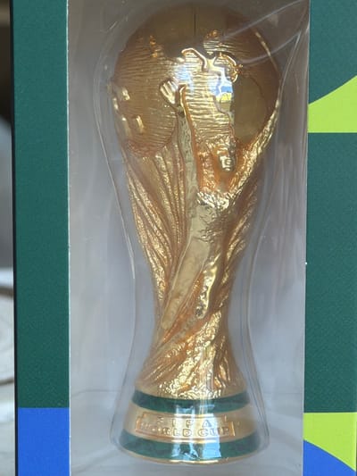 A golden trophy is shown inside a clear plastic wrapper, which is then placed in a green and blue box. The trophy appears to be the FIFA World Cup trophy, with the words "FIFA WORLD CUP" visible on its base. The trophy is gold-colored and intricately detailed, depicting two human figures holding up a globe. The box is partially visible, with its green side panels and a blue stripe at the bottom. The background is out of focus. The image appears to have been taken indoors, possibly in a retail setting. The location is not specified in the image or its context.