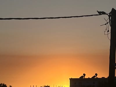 A sideways image shows a telephone pole silhouetted against a hazy, orange-tinted sky. An attached power line runs horizontally across the lower portion of the frame. Some trees are visible as silhouettes at the top of the frame, against the bright sky. The overall hazy appearance suggests a sunrise or sunset.