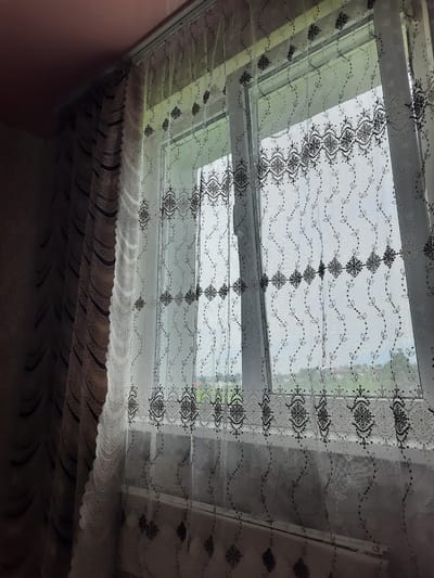 The image depicts a window with sheer curtains in Kusa, Russia. The curtains are white with black floral and vine patterns. They are layered over thicker, darker curtains on the left. Through the sheer curtains, a slightly overcast sky and a green landscape with some structures are visible, suggesting an outdoor scene beyond the window. The interior space appears to be a room with a pink ceiling. The scene is static and does not contain any people or animals.
