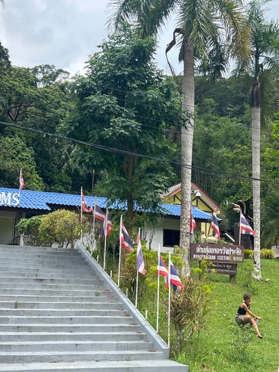 In the city of Tambon Wang Prachan, Thailand, a wide, grey concrete staircase leads up to a building with a blue tiled roof. Multiple flags, predominantly Thai flags, are planted in the ground on either side of the stairs and in front of the building. The building itself appears to be a customs house, indicated by a sign that reads "WANGPRACHAN CUSTOMS HOUSE". A person is seated on the grassy slope to the right of the stairs, near the sign, looking towards the building. The environment is lush and green, with palm trees and dense foliage surrounding the scene, suggesting a tropical setting. The sky is overcast.