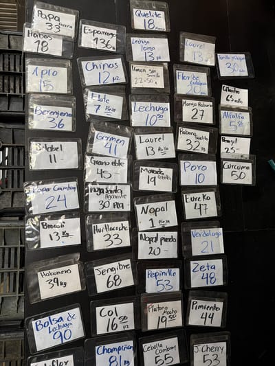 The image shows a collection of handwritten signs for various produce items. Each sign is encased in a plastic sleeve. The signs display the names of different fruits, vegetables, and herbs, along with prices. Examples include: "Tomillo y Oregano 30 rollo," "Cilantro 65 rollo," "Alfalfa 5.50," "Curcuma 50," "Lechuga 10.50," "Verdolaga 21," "Pimiento 44," "J. Cherry 53," "Esparrago 136lbs," "Chinos 12 pz," "Apio 15," "Berenjena 36," "Brocoli 13kg" "Bolsa de Lechuga 90"
The arrangement suggests a marketplace setting, likely in San Juan Cuautlancingo, Mexico. The black surface the signs are placed on seems to be a container.