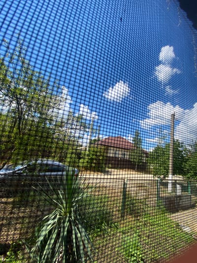 The media file is an upward-facing, high-angle shot of an outdoor scene, taken through a window screen, casting a grid shadow over the entire image. The primary subjects are the sky, foliage, and a building.
The sky is a vibrant blue with scattered white clouds, suggesting a clear and sunny day. The sunlight casts a distinct grid pattern from the window screen, creating a visually textured effect across the scene.
In the mid-ground and foreground, lush green trees are visible, with leaves and branches catching the sunlight. A portion of a building with a reddish-brown roof and windows is partially obscured by trees and the screen's shadow. To the right, there is a patch of green grass and a spiky, succulent-like plant. A sliver of a car is visible on the right side of the image, reflecting some of the surrounding light. The presence of trees, a building, and a car suggests a residential or semi-urban environment.
The scene appears to be captured during daylight hours due to the bright sunlight and clear sky. The location context provided is Akhtyrskiy, Russia. No people are visible in the media file, and there is no visible text. The overall mood conveyed is one of a bright, outdoor day, filtered through an urban or domestic barrier.