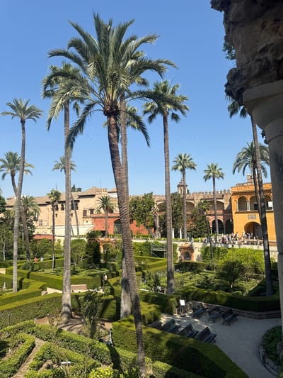 The image depicts a sunlit view of the Alcázar of Seville, Spain, a royal palace with a rich history and stunning gardens. In the foreground, several tall palm trees with lush green fronds dominate the scene, their trunks textured and weathered. The background reveals the intricate architecture of the Alcázar, with its characteristic reddish-orange and yellow facades, arched windows, and crenellated walls.
The gardens below are meticulously manicured, featuring geometric hedges forming a labyrinthine pattern. Several park benches are visible on a paved pathway, suggesting a place for visitors to rest and admire the surroundings. In the middle ground, a group of people are walking along a raised walkway, observing the gardens and the palace. The sky is a clear, vibrant blue, indicating a warm and sunny day. The overall impression is one of serene beauty and historical grandeur.