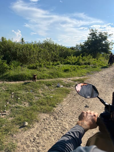 The image depicts a dusty, unpaved road in what appears to be a rural area outside the city of Cam Lam, Vietnam. The road is flanked by dry, patchy grass and dense green foliage. In the foreground, the perspective is from the viewpoint of someone riding a motorcycle, with a hand gripping the handlebar. A motorcycle mirror reflects a person wearing a pink shirt and gray clothing.
Further down the road, a small, brown dog is standing in the grass, looking towards the camera. To the right side of the road, three individuals are walking away from the camera. The sky is a clear blue with scattered white clouds, and a range of distant hills can be seen. Scattered on the ground are various pieces of debris, including what looks like discarded paper. The overall scene suggests a warm, sunny day in a developing area.