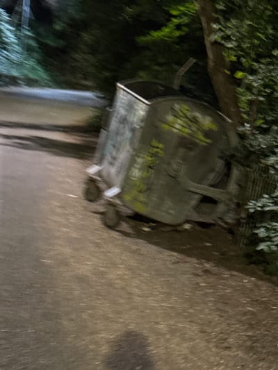 A large, metal dumpster with wheels is tipped on its side next to a tree on a paved path in Kokalyane, Bulgaria. The dumpster is graffitied with green spray paint. Green foliage is visible on the right side of the image, and trees and a power pole are visible in the background. The ground is dirt and pavement, and the scene appears to be illuminated by artificial light.