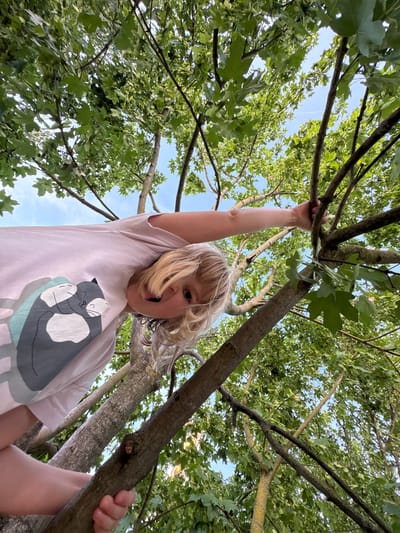 A low-angle, eye-level shot captures a young blonde child with their face tilted downwards, looking into the camera, from within a tree. The child is wearing a light-colored t-shirt with a graphic of a grey cat. Their left arm is extended, reaching for a tree branch. The scene is dominated by the dense green foliage and branches of a tree, with patches of blue sky visible through the leaves. The lighting suggests it is daytime, possibly late afternoon due to the soft light. The setting appears to be outdoors, in a natural environment with mature trees. The location is identified as Bönnigheim, Germany.