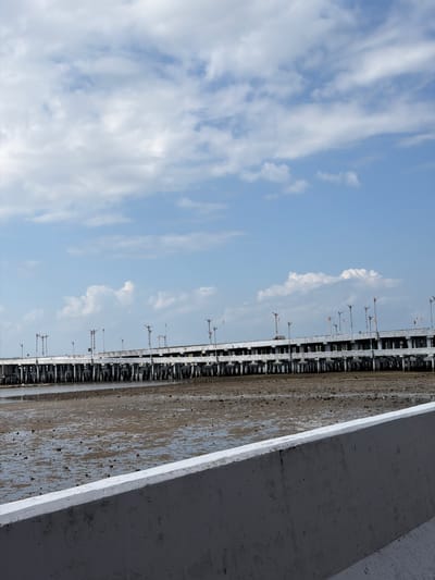 An eye-level, full shot captures a partially exposed seabed under a bright, cloudy sky, with a long, elevated concrete bridge extending horizontally across the frame. The foreground features a concrete barrier, angled diagonally from the bottom left to the bottom right, its textured surface showing some wear and tear. Behind the barrier, the seabed is a mosaic of shallow, muddy water and exposed sand, dotted with dark debris and small rocks. Several tall, slender poles with orange lights are visible on the bridge, spaced intermittently. The bridge itself is a substantial concrete structure supported by numerous vertical pilings that disappear into the water. The sky above is a pale blue, generously populated with scattered white clouds of varying sizes and densities. The scene is devoid of any human presence or activity. This scene is likely part of the southern coast of Denpasar, Indonesia, possibly near the Sanur area, given the elevated bridge infrastructure commonly found over shallow coastal waters.