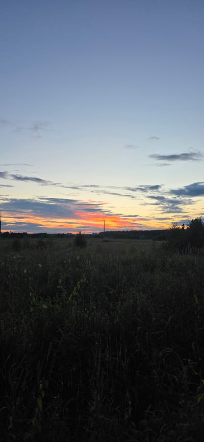 The image depicts a rural landscape at dusk near Электротехник Снт, Russia. The foreground is dominated by dark, tall grasses and foliage, obscuring details of the ground. In the mid-ground, a field stretches out, dotted with scattered bushes and trees. Power lines and tall poles are visible across the field, indicating infrastructure in the area. The background features a treeline and a hazy horizon. The sky above displays a gradient of colors, transitioning from a pale blue at the top to vibrant oranges and pinks near the horizon, characteristic of a sunset. Wispy clouds are scattered across the sky. No people or animals are visible in the image.