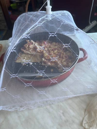 A white mesh food tent covers a pan of food, likely in a kitchen or dining area. The tent has a lace trim and is supported by a white plastic mechanism at the top. The pan is red with a silver rim and contains a dish with what appears to be mixed ingredients, possibly a casserole or bake. The surface beneath the pan and tent appears to be a marble-patterned table. The background is blurred, but suggests an indoor setting with some wooden furniture and possibly other household items. This scene is likely located in Zmiiv, Ukraine, based on the provided context.