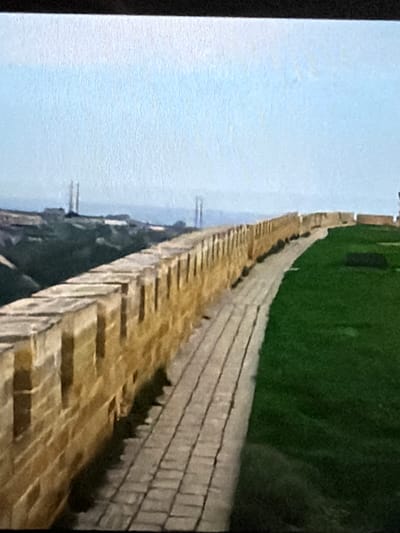 The image depicts a long, narrow walkway made of weathered bricks, bordered on one side by a neatly manicured green lawn and on the other by a light blue sky. The walkway appears to be elevated, with a dark, shadowy area visible beneath it, suggesting it might be a bridge or an elevated path over water or a lower ground.
The walkway itself is the most prominent subject, stretching diagonally across the frame and receding into the distance. The bricks are laid in a pattern that creates a textured, segmented appearance, with lighter, horizontal blocks interspersed with darker, vertical ones. The lawn is a vibrant green and seems to be a well-maintained area, possibly a park or a garden. The sky is a soft, hazy blue, with no discernible clouds, suggesting a clear day.
There are no people or animals visible in the image. The overall impression is one of a quiet, possibly serene, outdoor setting. The time of day is difficult to determine precisely, but the soft lighting and the light blue sky suggest it could be daytime, perhaps late morning or early afternoon. The weather appears to be fair and calm.
The image is oriented such that the walkway and lawn run vertically from bottom to top, with the sky on the left. This orientation might be a deliberate choice or a result of how the image was captured. There is no visible text in the image. The context of Lopatino, Russia, places this scene in a specific geographical location, though there are no explicit visual cues within the image to confirm this location without prior knowledge. The scene evokes a sense of calm and perhaps an invitation for a stroll or contemplation.