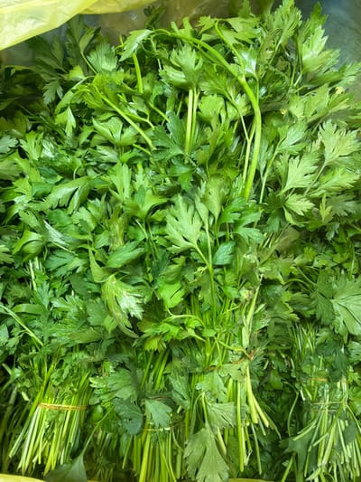 The image depicts a large quantity of fresh, green parsley. The parsley is arranged in bundles, with some bundles bound together with string. The leaves are vibrant green and appear to be slightly damp, suggesting they have been recently washed or harvested. The parsley is located in a yellow plastic bag. The location of the parsley is Kadima-Zoran, Israel.