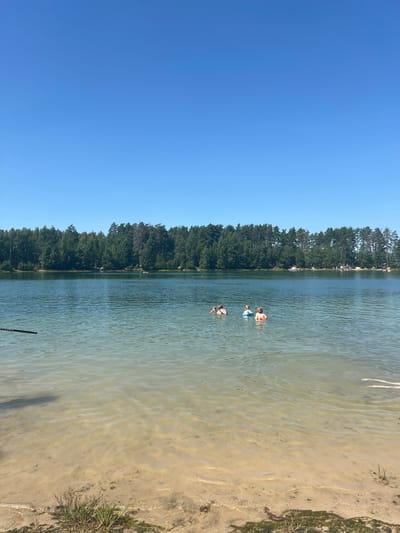 The image depicts a serene summer day at a sandy beach on a lake in the city of Esino, Russia. The sky is a clear, vibrant blue, stretching across the upper portion of the frame. The lake's water is calm and clear, revealing the sandy bottom near the shore. In the middle ground, four individuals are enjoying a swim in the lake. Two are closer to the viewer, appearing to be an adult and a child, while two others are further away. The background is dominated by a dense, verdant forest that lines the opposite shore of the lake. The sandy beach in the foreground is sparsely vegetated with tufts of grass and some scattered debris. The overall impression is one of a tranquil natural setting perfect for recreation.
