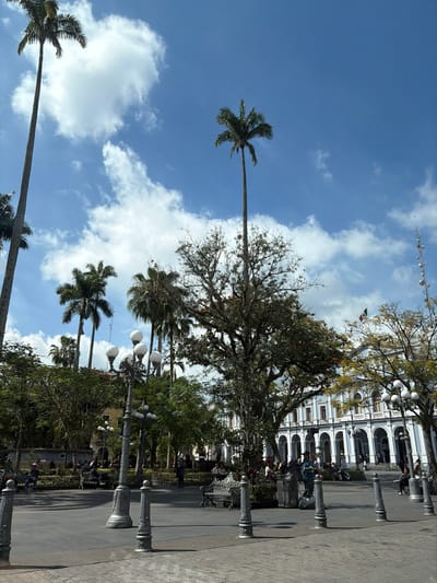 The image captures a sunny day in a plaza. Tall palm trees reach towards a bright blue sky filled with fluffy white clouds. In the background, a stately building with arched windows can be seen, adorned with a Mexican flag. The plaza is lined with ornate lampposts and shaded by large trees, with benches and people enjoying the atmosphere.