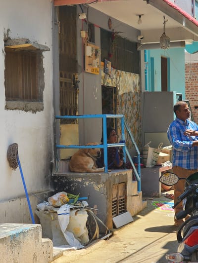 This image depicts an outdoor scene in front of a residential structure in Pedda Kammavaripalli, India.
A light-skinned, possibly concrete, building with signs of weathering and irregular plasterwork occupies the left side of the frame. An open, barred window is visible on the left wall. A blue mop leans against this wall near the bottom left corner. Adjacent to the building, a set of concrete steps leads up to an elevated entrance. The steps are worn, with chipping paint and exposed concrete.
On the elevated concrete platform, a light brown dog is curled up and resting, positioned behind a blue metal railing that acts as a banister. To the right of the dog, a woman with dark hair, wearing a patterned garment, is seated on the platform, looking towards the right side of the frame. Her right arm is visible. Behind her, the doorway is partially obscured by a patterned fabric or screen. An electrical meter box and associated wiring are mounted on the wall to the left of the doorway. Above the entrance, a light bulb hangs from the ceiling, and a decorative object resembling an ornate metal vessel is suspended by chains.
To the right of the platform, a man with short dark hair, wearing a blue and white plaid shirt and brown trousers, stands facing generally to the right, with his head turned slightly left. His right hand is raised to his chest area. He appears to be speaking or observing something outside the frame to the right. Behind him, part of a light blue building with a dark brown door is visible, along with a reddish-brown brick wall.
At the bottom of the steps, directly in front of the platform, a pile of discarded items, including plastic bags, paper, and what appears to be vegetable waste, is accumulated. On the ground level to the right, a motorcycle's front section, including handlebars, a rearview mirror with a checkered pattern, and a red taillight reflector, is visible. The ground is a mix of dirt and concrete, showing a strong shadow cast from an unseen object or building. A colorful rangoli or kolam pattern is visible on the ground beneath the motorcycle's front wheel, extending towards the building.