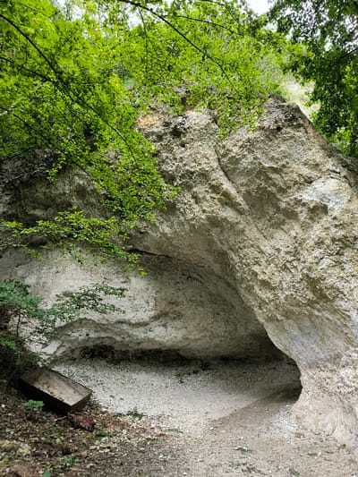 The image displays a natural rock formation in Horaivka, Ukraine, characterized by a substantial, light-colored, heavily textured cliff face or outcrop. The rock exhibits features consistent with erosion, including a large, irregular, arch-like opening forming a shallow cave or overhang in the lower-central portion. The interior and floor of this natural shelter are covered in light-colored granular material, possibly crushed rock or fine debris.
Dense green deciduous foliage overhangs the top and upper-left portions of the rock formation, with additional sparse green vegetation growing at the base and in crevices. The ground directly in front of and within the cave consists of a mixture of dark soil, organic debris, and the light granular material.
To the left of the cave entrance, an empty, rectangular, open-topped metal container, possibly a trough or feeder, lies on its side on the ground. The container appears weathered, exhibiting a dark, possibly rusted, patina. No individuals or active subjects are present in the scene. The overall environment suggests an undisturbed, natural setting with minimal human impact, apart from the discarded container.