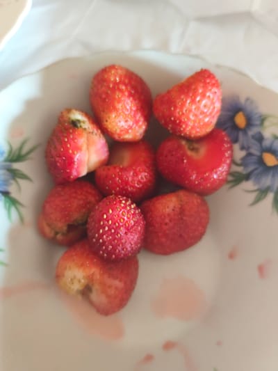 The image shows a close-up, top-down view of a white porcelain plate filled with ripe strawberries. The plate has a decorative rim with blue floral patterns. Several strawberries are scattered across the plate, some whole and some cut in half, revealing their interior. Some of the strawberries show signs of being recently eaten or prepared, with small patches of pink juice staining the white surface of the plate. The lighting suggests it might be daytime, possibly indoors given the context of a plate. The overall scene is simple and focuses on the fresh fruit. No people are visible, nor is there any text.