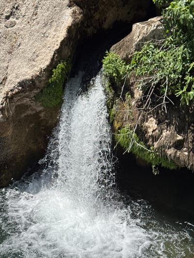 A waterfall cascades over rocks into a pool of water. Lush green vegetation grows on the rocks surrounding the waterfall. The scene appears to be in a natural setting, likely in the city of Radomir, Montenegro.