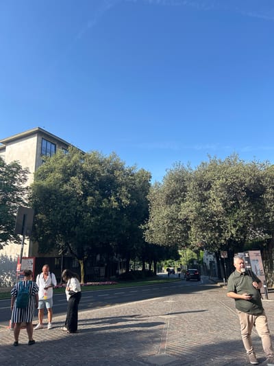 In Bergamo, Italy, on a sunny day, a group of people stand on a cobblestone street lined with trees. On the left, a woman with a striped dress and backpack talks with a man in a white shirt and shorts, who holds a phone. Beside them, a woman in a white shirt and black pants looks down. To the right, a man with a beard and a green shirt stands holding a phone. Buildings and trees line the street in the background, where a few cars are visible. A sign with text and images is mounted on a pole near the right side of the frame.