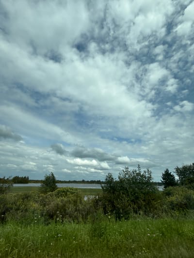 This image depicts a natural landscape with a body of water in the background, bordered by lush green vegetation. The sky is overcast with a mix of white and gray clouds, suggesting a possibly humid or temperate climate. The foreground is dominated by tall, wild grasses and various shrubs, with a few scattered wildflowers. In the middle ground, there are denser bushes and trees, some of which appear to be deciduous, lining the edge of the water. The body of water itself is calm and reflects the muted tones of the sky and surrounding greenery. The distant horizon shows a line of trees, indicating a continuation of the natural environment. No people or man-made structures are visible in the image. The scene is consistent with a rural or natural park setting, potentially near a lake or river. Based on the prompt specifying the location of Ключи, Russia, this could be a view of one of the numerous water bodies found in the surrounding natural areas of the settlement.