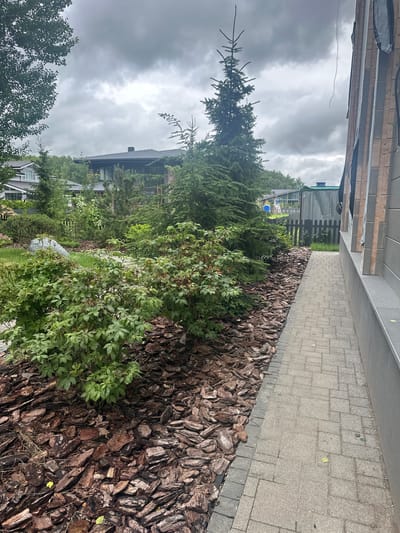 The image shows a side view of a modern house in the city of Uyut, Russia. The house has a wooden and gray facade and a dark gray roof. To the left of the house, there is a paved walkway made of light gray rectangular stones. Next to the walkway is a garden bed covered with dark brown wood chips, and several green bushes. In the background, there are more houses, trees, and a cloudy sky. The scene appears to be taken on an overcast day, possibly in the summer or fall. There are no people or animals visible in the image.