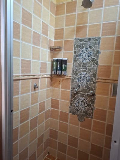 The image shows a shower stall with light brown square tiles and a small tiled mosaic on the right side. The shower head is a circular shape with a chrome finish and is partially visible in the upper center of the frame. A chrome-plated shower holder and three clear bottles of shower gel are attached to the wall on the left side. The shower stall is located in Karagita, Kenya at latitude -0.754 and longitude 36.437. The scene is empty of people.  There is a small, chrome,  hand-held shower head attached to the wall with a hose that is not visible in the image.  The bottom of the shower stall is visible, with a white grout line.  The image is taken from an interior position.  The image appears to be a still photograph.  The light in the room is bright, indicating that the time of day is likely either morning or afternoon.  The image's focal point is the shower stall.