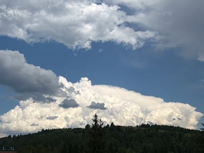 The image shows a wide landscape with a densely forested hillside in the foreground and a dramatic sky filled with clouds above. The hillside is covered in dark green trees, suggesting a temperate climate. A single, taller coniferous tree stands out prominently near the center of the hillside. The sky is a bright blue, interrupted by large, billowing white cumulus clouds and darker, more scattered grey clouds. The overall scene is natural and depicts a rural or mountainous area. There are no people or specific man-made objects clearly visible that would indicate an urban setting, though a hint of a building structure can be seen at the bottom left edge of the image. The specific location in Tashtagol, Russia is not visually identifiable from the image itself.
