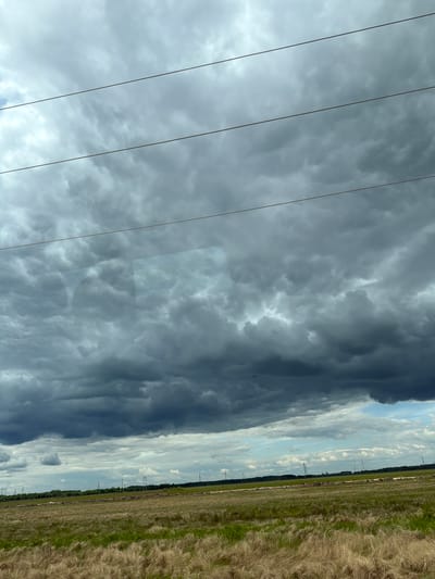 The image captures a rural landscape under a dramatic, cloudy sky. In the foreground, a field of dry, golden grass stretches towards a greener expanse. A line of trees marks the horizon, beyond which are several tall, industrial-looking towers, likely power line pylons. Three thin, dark horizontal lines, suggesting power lines, bisect the upper portion of the frame, crossing over the dense, dark clouds. The sky itself is filled with a heavy, overcast ceiling of clouds, with darker, more turbulent formations dominating the upper half, hinting at approaching weather. The lower portion of the sky shows lighter, more scattered clouds and a sliver of blue. No people or specific structures are visible within the field itself. The scene appears to be located in or near Ol'gokhta, Russia, given the typical rural landscape and power infrastructure found in such areas.