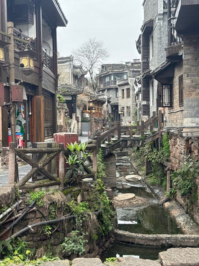 The image displays a street scene within Fenghuang, China, under an overcast sky. The primary elements are traditional multi-story buildings flanking a narrow stone-lined canal or stream.

On the left, a dark-stained wooden building features ornate balconies with intricate railings and two gold-colored lanterns. Below, a small commercial entrance is visible, with a partially open wooden shutter revealing a red beverage cooler and white plastic bottles. An electrical utility box with conduit is affixed to the building's exterior. A rustic wooden fence, composed of vertical posts and X-shaped crossbeams, borders the canal's left bank. Green vegetation and moss are present on the fence and stone embankment.

The right side of the scene is dominated by a building constructed of grey brick and stone, featuring dark wooden window frames and a traditional, latticed white-paper window. Its stone foundation is heavily overgrown with green plants and vines.

The central feature is the narrow, shallow canal, flowing from the foreground towards the background. Its banks are constructed from irregular stone. Two circular, light-colored stepping stones are submerged in the water. A small, arching wooden bridge with matching railings crosses the canal in the mid-ground. Extensive greenery, including various plants, moss, and vines, covers the canal banks, stones, and parts of the bridge structure.

In the background, a dense cluster of traditional grey-roofed buildings with varying heights and architectural details extends into the distance. A single leafless deciduous tree stands prominently against the cloudy sky behind the structures. No human figures are visible anywhere in the scene.