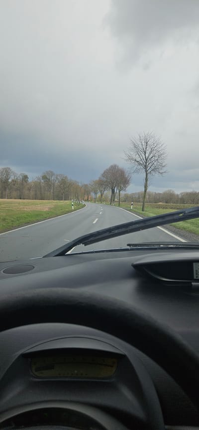 The image shows a view from inside a vehicle, likely a car, driving on a road. The road curves gently to the left. On either side of the road, there are trees, some of which are bare, suggesting it might be late autumn or winter. The sky is overcast with grey clouds, indicating a possibly rainy or gloomy day. Part of the car's dashboard and windshield wiper are visible in the foreground. The general area could be the city of Delbrück, Germany, due to the environment that looks like a German street. The location would be marked by a long row of trees down one side and another row of trees across the road. There are no people visible in the image.