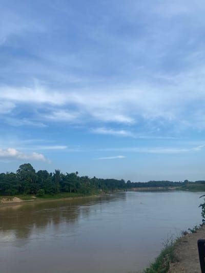 A wide, murky brown river flows through a landscape dominated by lush green trees and a vast sky with scattered white clouds. The riverbank on the left is lined with dense vegetation, including palm trees and other tropical foliage, with a sandy patch visible near the water's edge. The right bank appears to be a dirt path with some sparse green growth. In the distance, the river bends and the tree line continues, suggesting a rural or natural setting. The sky is a bright blue, indicating it's daytime. The overall impression is one of a serene, natural environment with the river as the central element.
