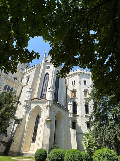 The image depicts a close-up view of the Hluboká Castle in Hluboká nad Vltavou, Czechia, framed by the lush green foliage of trees in the foreground. The castle, constructed from light-colored stone, features Gothic architectural elements, including pointed arched windows, turrets, and intricate detailing along its facade. The sunlight casts shadows on the building, highlighting the texture of the stonework and the depth of the architectural features. The sky above is a clear, bright blue. The surrounding environment includes neatly manicured spherical bushes in the lower portion of the frame and tall, mature trees with dense green leaves. The perspective is from a low angle, looking upwards towards the castle and the canopy of leaves.